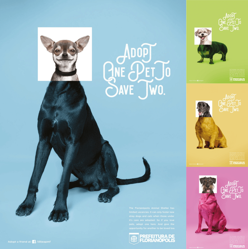 Реклама от бразильского приюта для животных.png