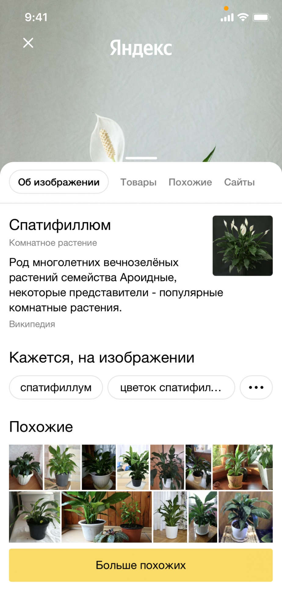 Яндекс запустил умную камеру в мобильном приложении