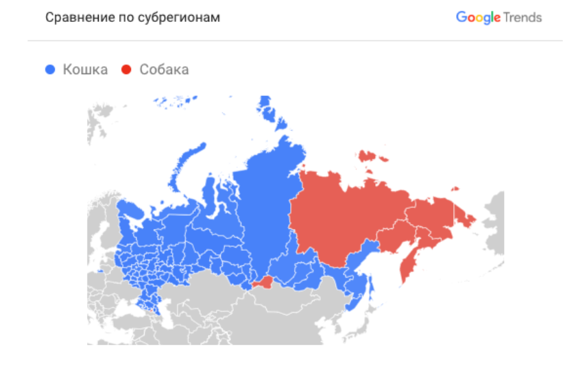 Стереотип №1: В интернете все любят кошек Стереотип №1: В интернете все любят кошек