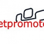 Netpromoter-2010: «Все зависит от Яндекса»