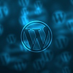 Wordpress представил новую версию 5.5