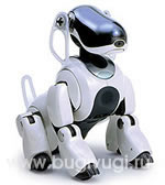 Microsoft дрессирует краулер Live Search bugivugi.ru