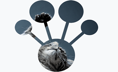 Яндекс открыл доступ к библиотеке машинного обучения CatBoost