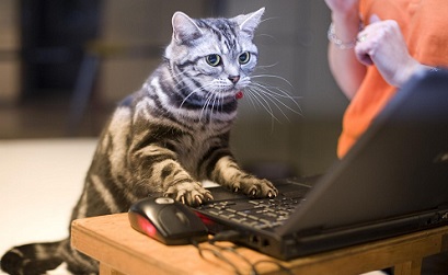 Вебинар «От конверсии в голове – к конверсии на сайте»