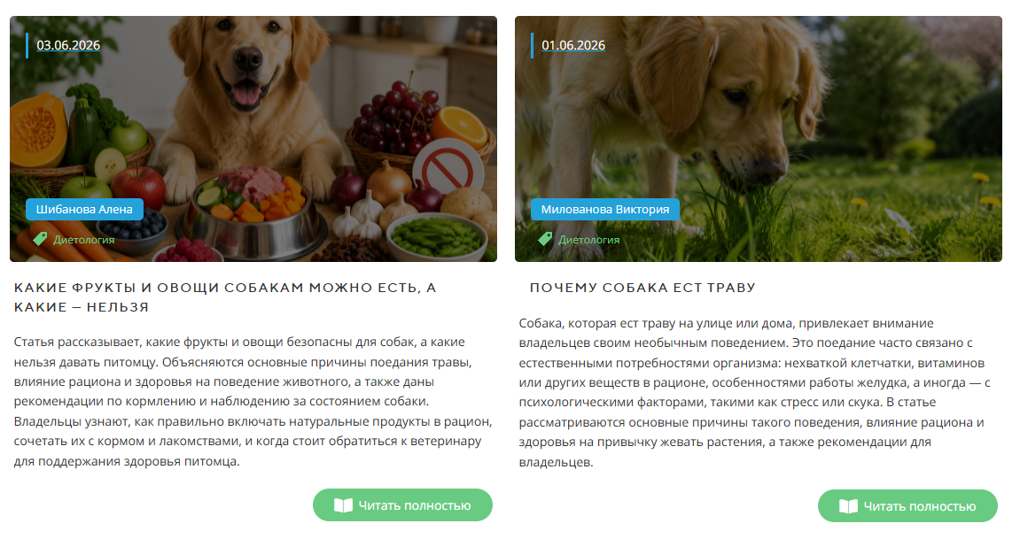 Ветеринарная клиника Ветеринарная клиника