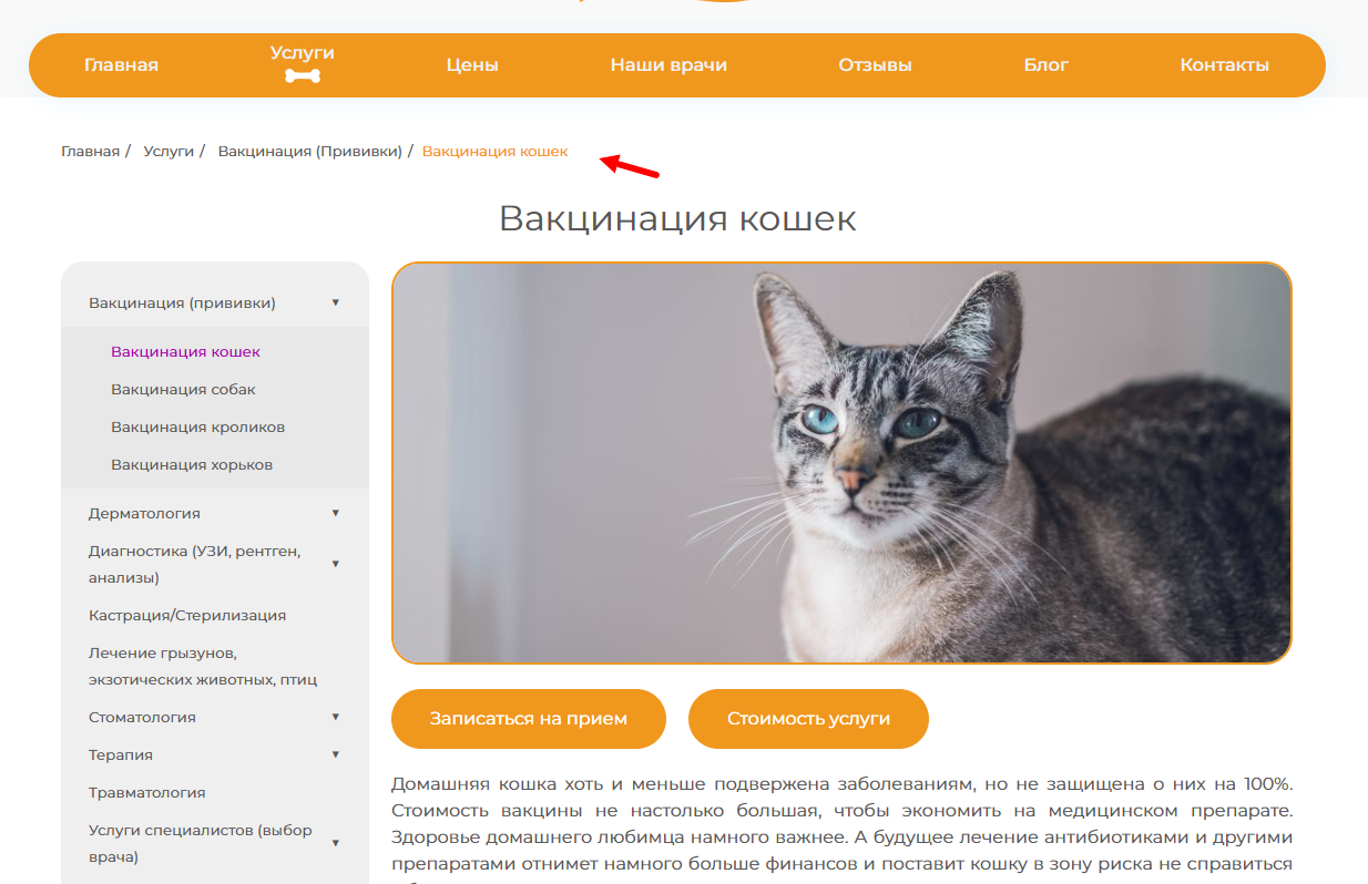 Техническое SEO