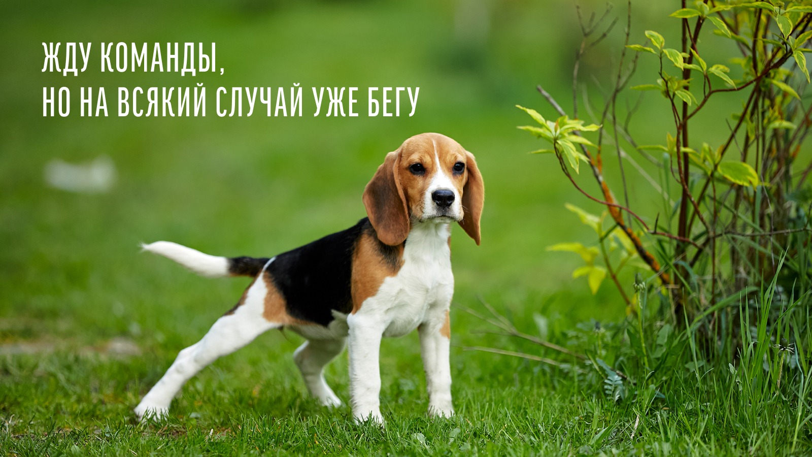 Кейс продвижения в вк