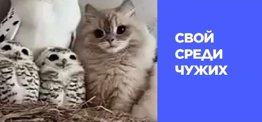 Закон о рекламе