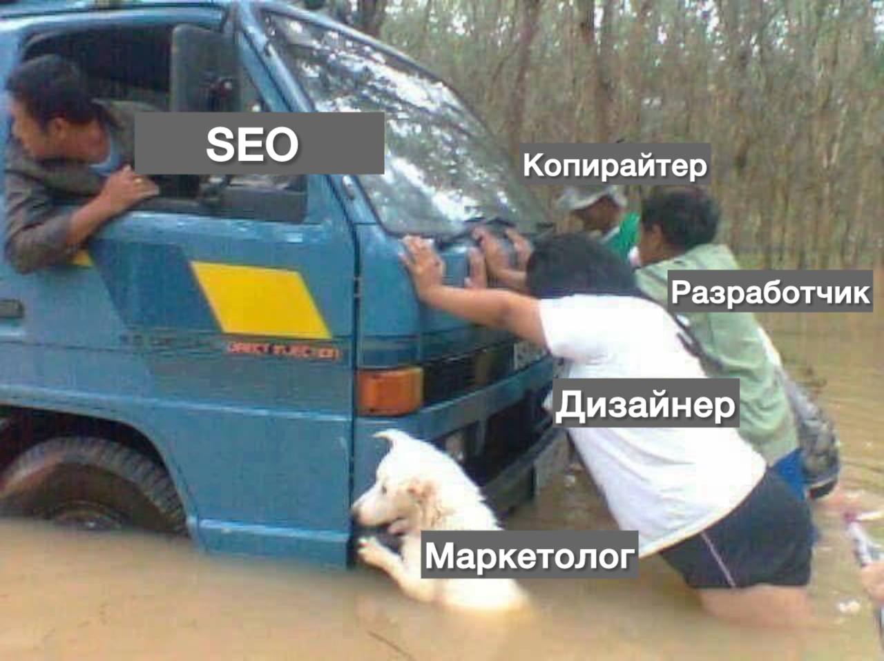 Мемы про SEO Мемы про SEO