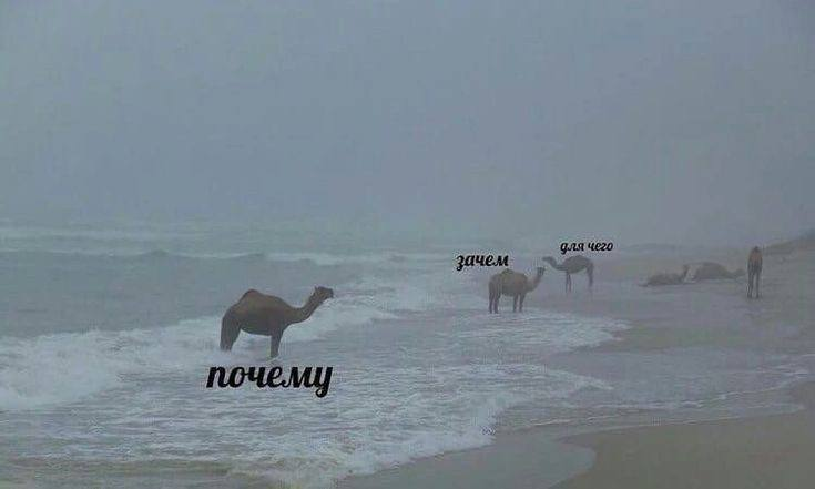 Ошибки маркетинга