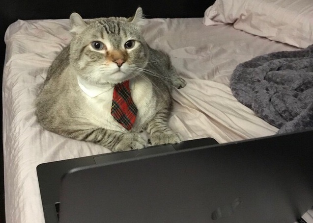 Технодайджест: край света, беспилотники и сгибаемый смартфон