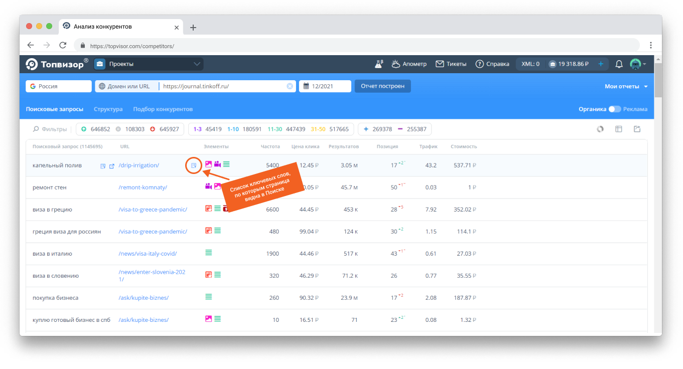 Отчет по домену в инструменте «Анализ конкурентов» в Топвизоре