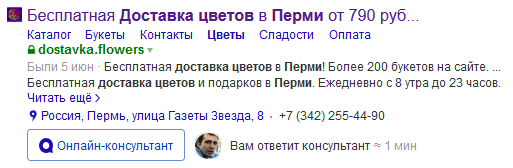 Пример подробно заполненного сниппета в Яндекс.Диалогах