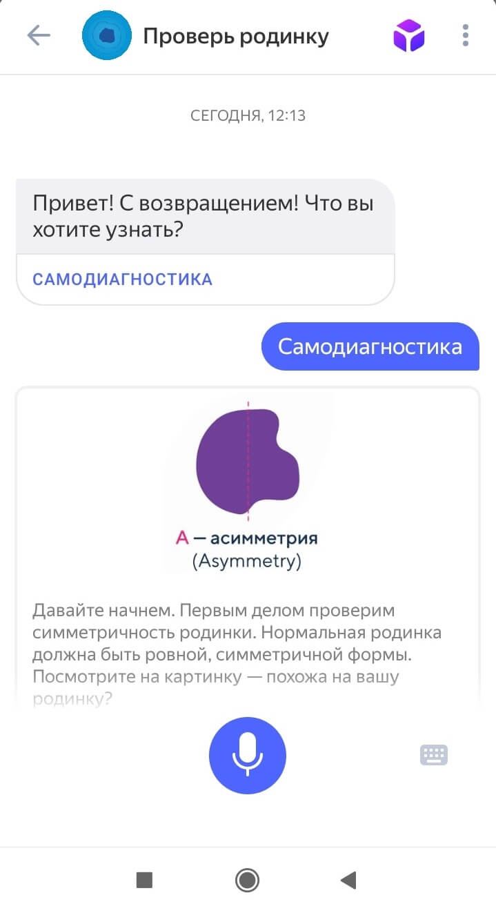 Алиса умеет запускать самодиагностику родинок для выявления, входите ли вы в группу риска по меланоме