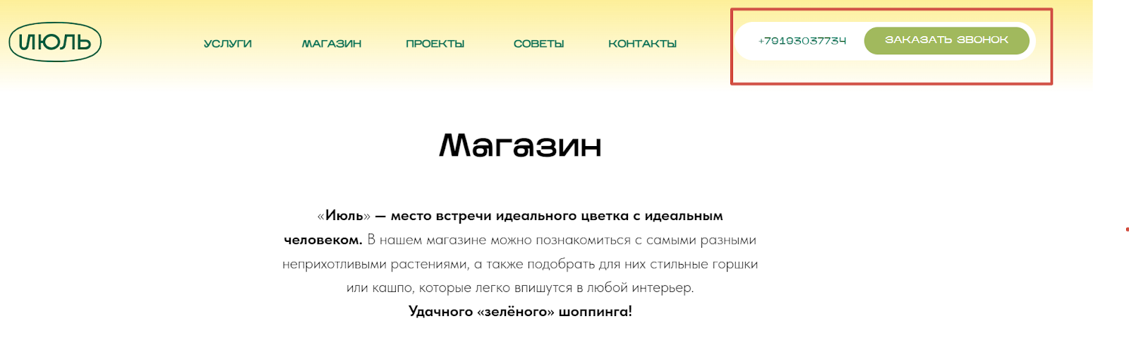 Онлайн-чат на сайте