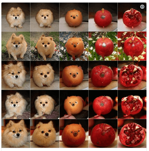 Нейросеть попросили показать промежуточную стадию между померанским шпицем и гранатом Нейросеть попросили показать промежуточную стадию между померанским шпицем и гранатом.png