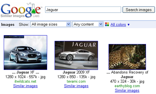 Similar Images
