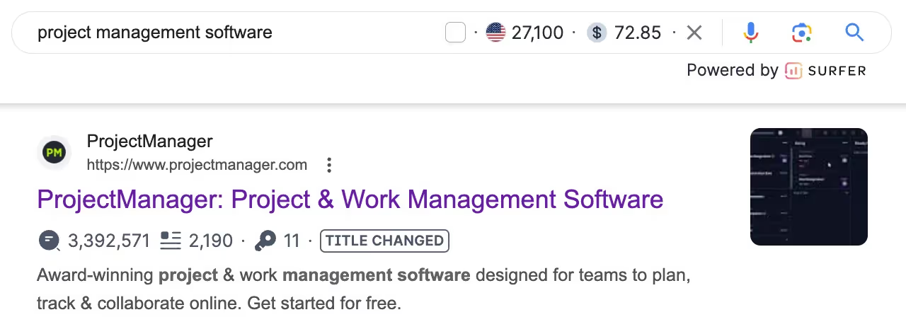 Project Manager