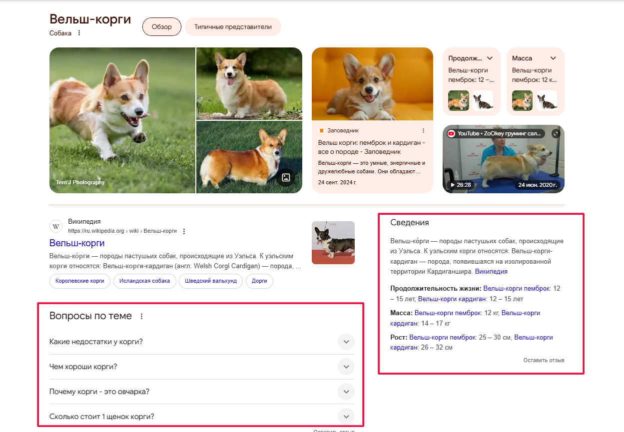 Расширенные сниппеты 