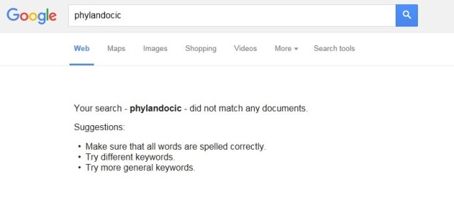 phylandocic-no-results-google2.jpg