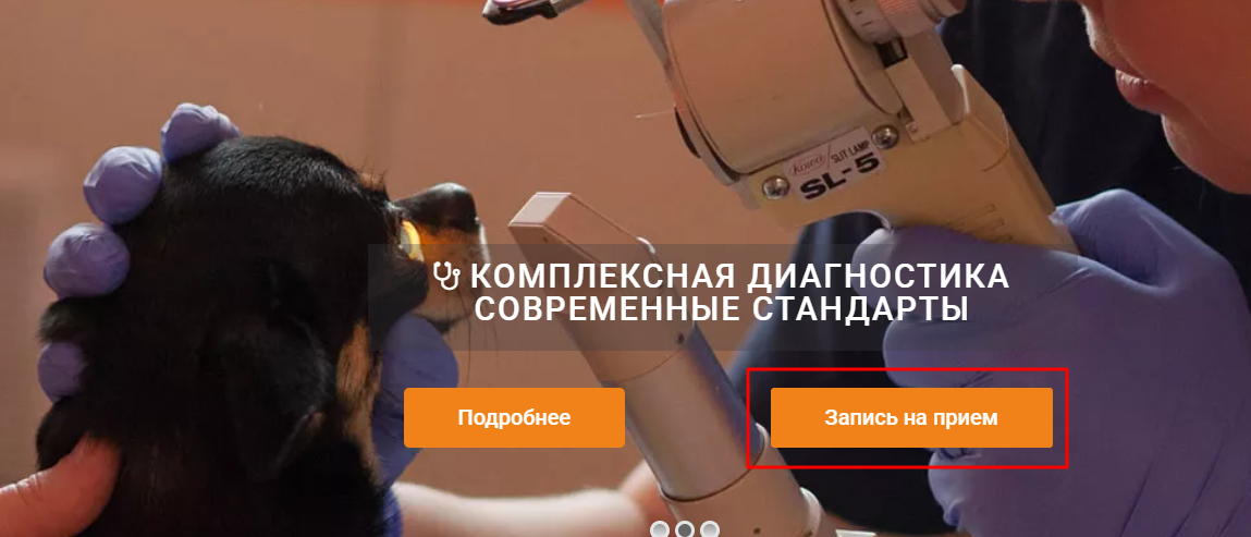 Ветеринарная клиника Ветеринарная клиника