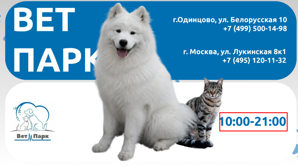 Ветеринарная клиника Ветеринарная клиника