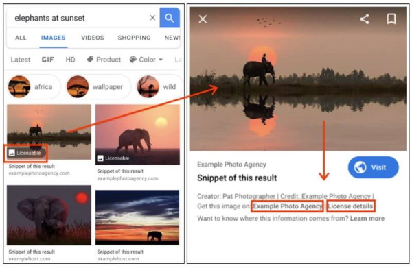 Google начнет отображать лицензионную информацию о контенте в Google Картинках