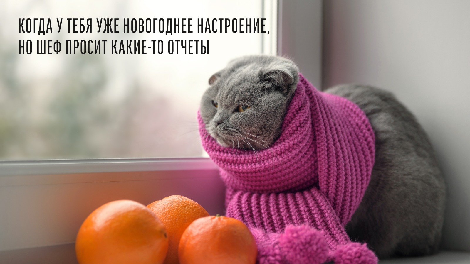 Кейс продвижения в вк