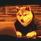 Яндекс выплатил в рамках программы «Охота за ошибками» 62 млн рублей в 2025 году