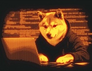 Яндекс выплатил в рамках программы «Охота за ошибками» 62 млн рублей в 2025 году