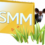 Агентства объединились против черного SMM