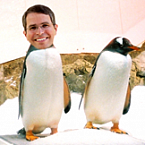 Мэтт Каттс: грядет крупное обновление Пингвина