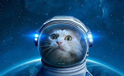 Технодайджест: клонированные котята и робот Федор в космосе