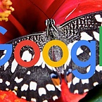Представители Google опровергли запуск обновления поисковых алгоритмов