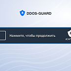 DDoS-Guard выпустила аналог капчи Google и Cloudflare на российском рынке