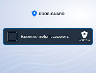 DDoS-Guard выпустила аналог капчи Google и Cloudflare на российском рынке