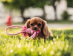 Способы бесплатного продвижения аккаунта в TikTok