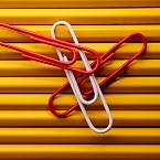 ChatGPT и GigaChat стали самыми популярными ИИ для подготовки к собеседованию