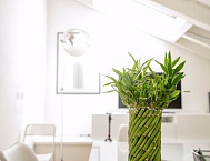 В 13 раз больше трафика и двойная конверсия: как мы продвигаем медицинский центр. Кейс