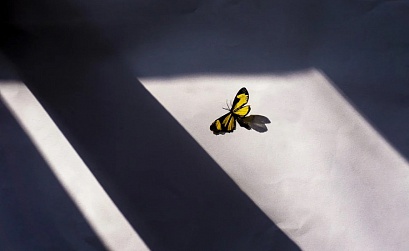 Технодайджест: экологические инициативы и мобильные технологии