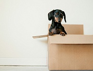 Дзен представил новые аналитические инструменты для медиа