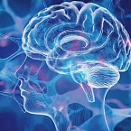 Google усилил модерацию рекламы: число блокировок достигло рекордных 8,3 млрд