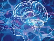 Google усилил модерацию рекламы: число блокировок достигло рекордных 8,3 млрд