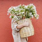 Вы точно ничего не пропустили