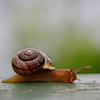 АКАР: рекламный рынок прибавил только 10% в первом полугодии 2025 года