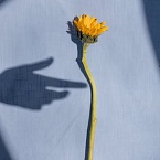 9 способов, которые помогут сэкономить бюджет на контекстную рекламу и повысить эффективность кампаний