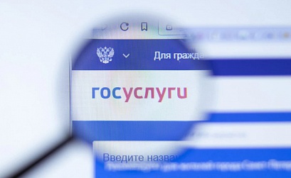  Специалисты Минцифры отразили рекордную по мощности  кибератаку на сайт Госуслуг
