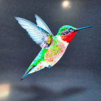 Google представил новый алгоритм Hummingbird