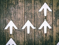 Рынок онлайн-рекламы в России в 2025 году вырос на 28%. Данные АРИР