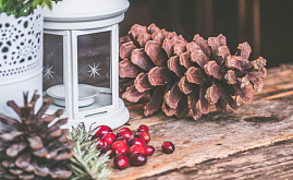 Живее всех живых: SEO-тренды 2019 года